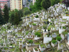 Giresun Vefat İlanları