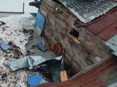 Yayla Evine Çatıdan Giren Ayı Ortalığı Savaş Alanına Çevirdi