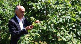 1 Milyon Harcadı, 500 Bin İçeri Girdi!